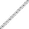 Sandow (élastique) 8mm - LIROS - gaine Polyester